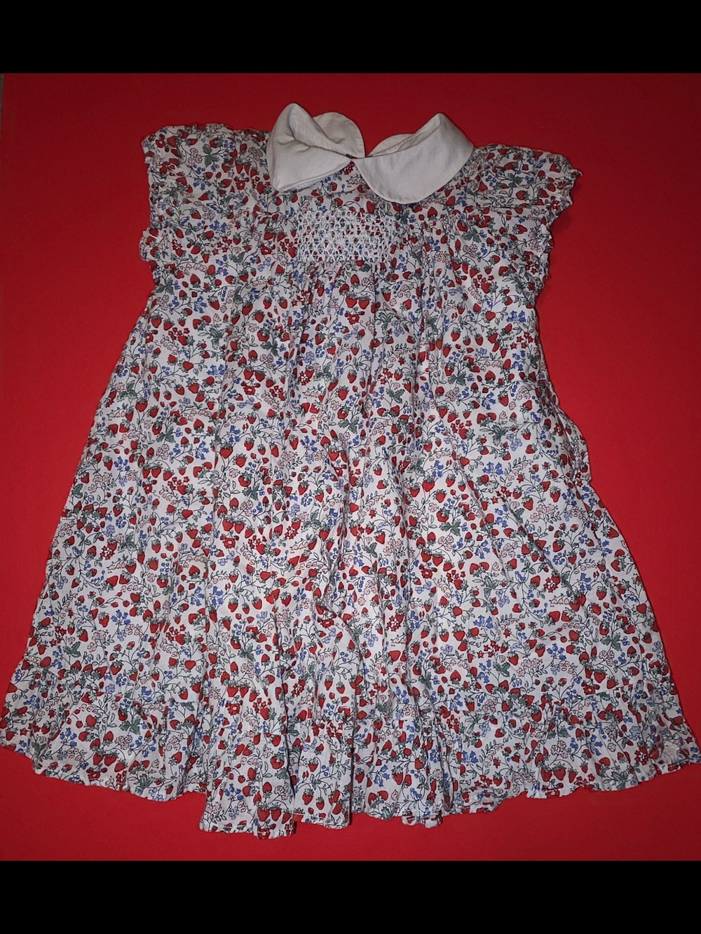 Janie and Jack White Dress with Red and Blue Floral Print